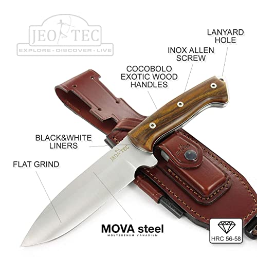 Fixed Blade Full Tang 11" MOVA Stainless Steel Knife with Sheath G92525