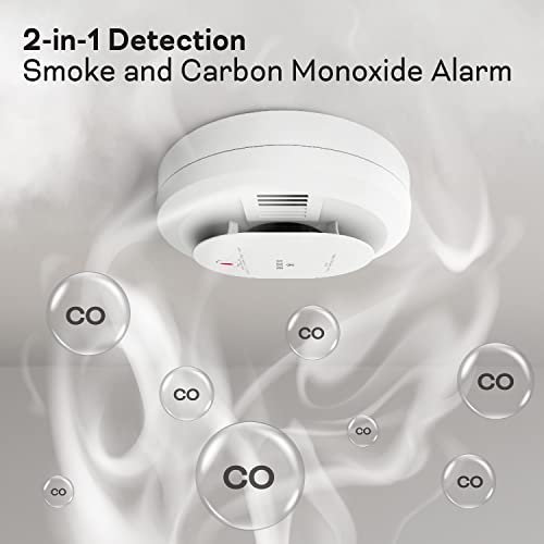 AA Battery Powered Smoke & Carbon Monoxide Detector, 2 Pack P671