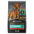 Dry Puppy Food B168