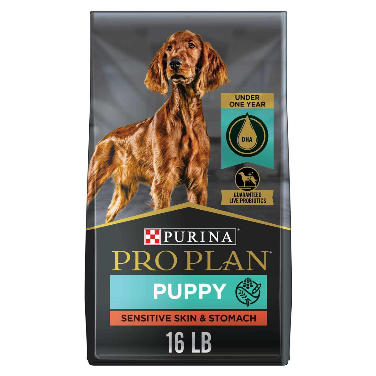 Dry Puppy Food B168