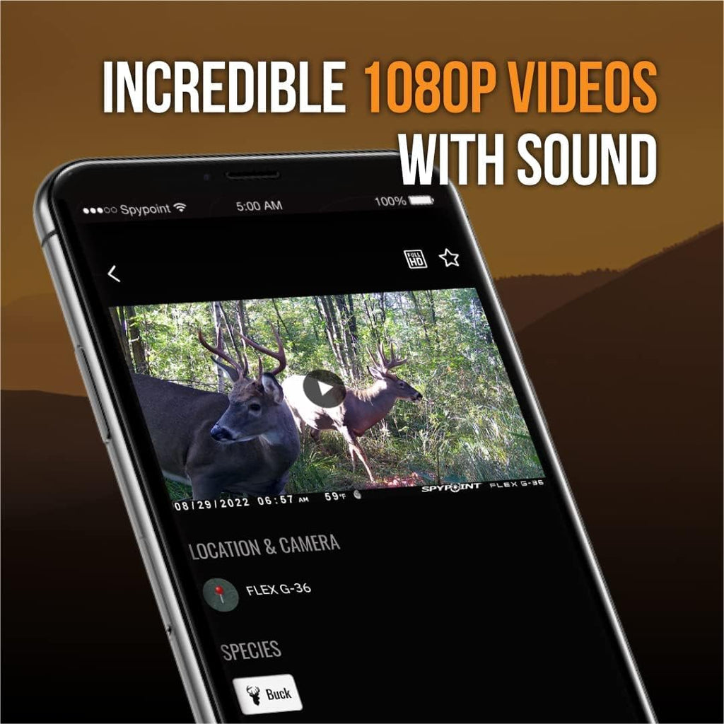 Twin Pack Cellular Trail Camera with 36MP Photos and 1080p Videos Y85146