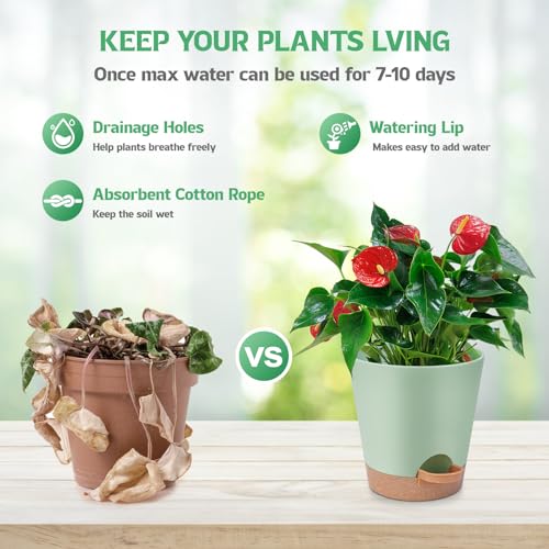 Self Watering Plastic Plant Pots with Drainage Hole and Saucers Q590857