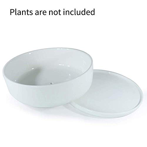 8 inch White Round Ceramic Planter with Removable Saucer V44792