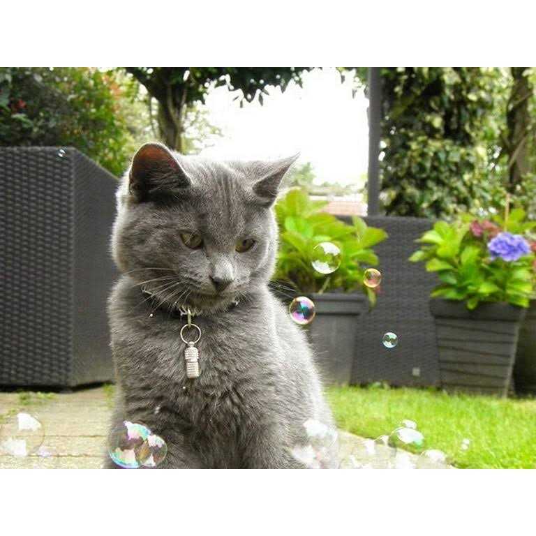 Cat Incredibubbles E225369