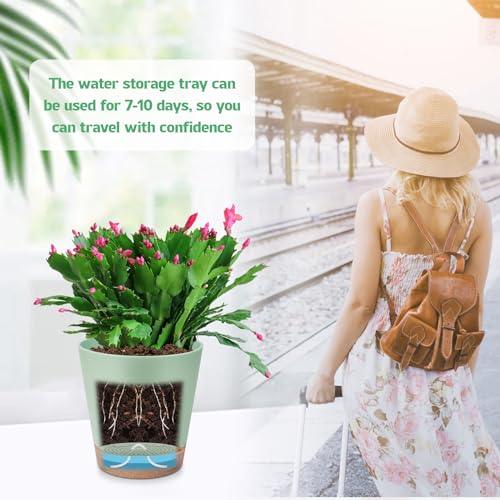 Self Watering Plastic Plant Pots with Drainage Hole and Saucers Q590857