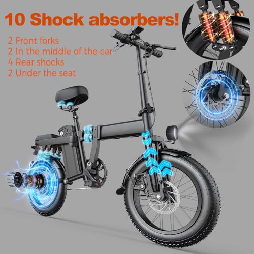 750W Electric Bike with 48V20AH Battery and 16"×3" Fat Tire R206