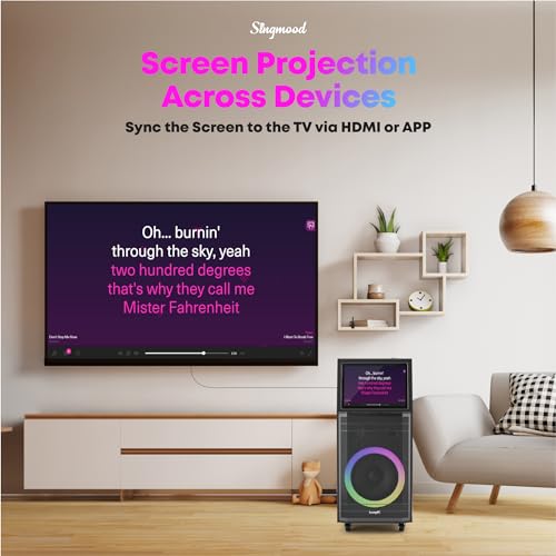 Portable Bluetooth Karaoke Machine with 2 Wireless Microphones N63836