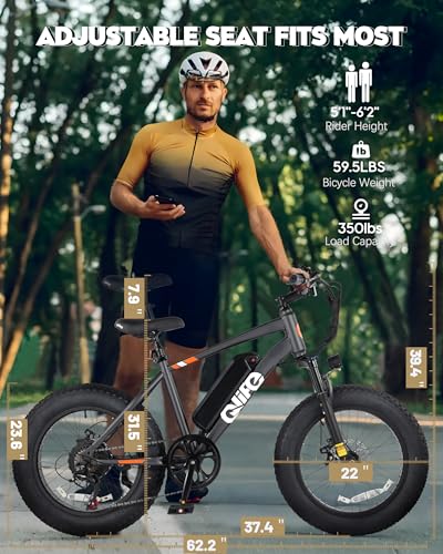 Fat Tire Electric Bike with 20X4.0 Tire, 7-Speed D8552