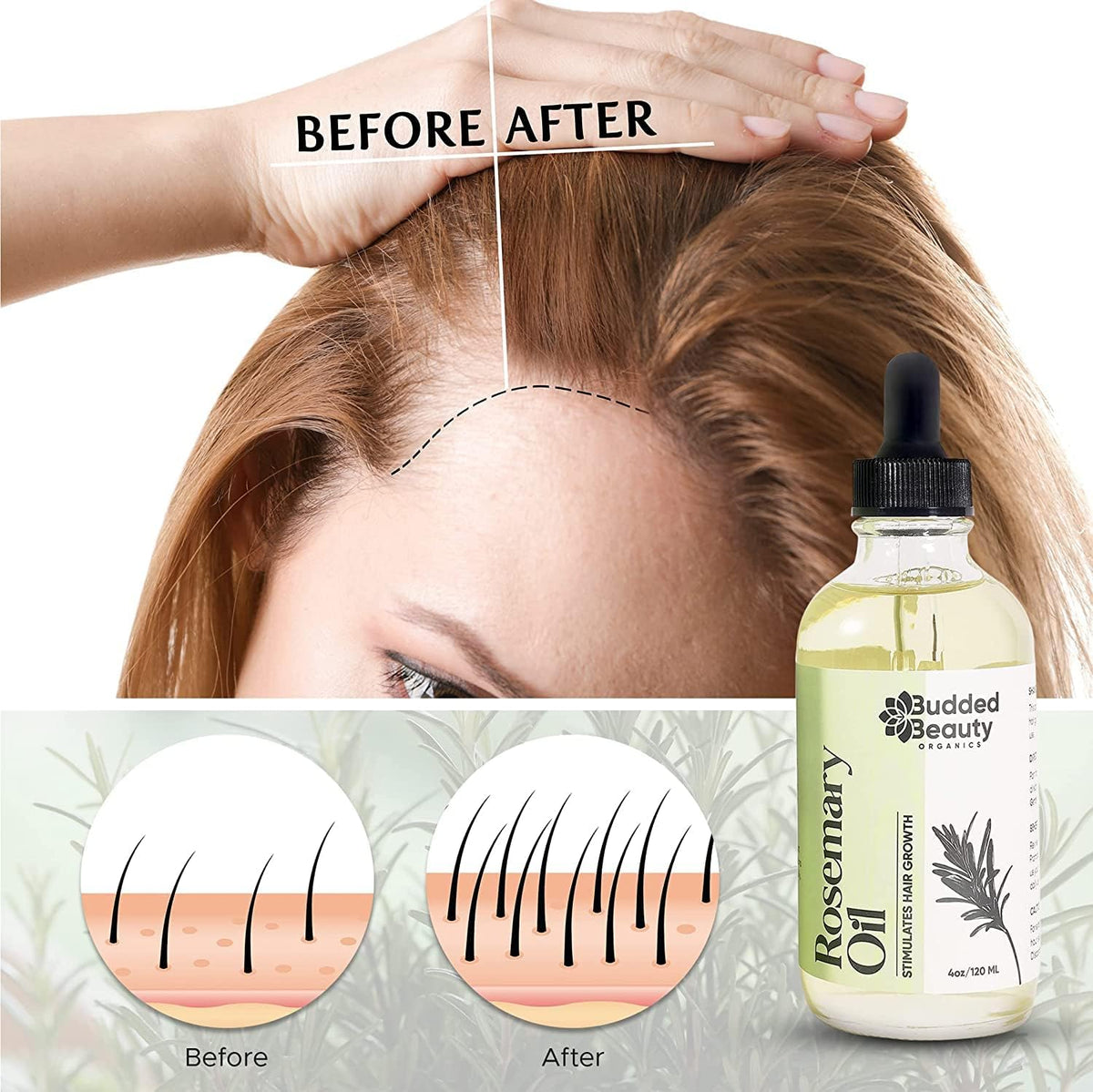 Rosemary Oil with Dropper S350704